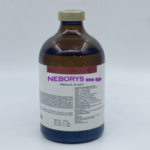 NEBORYS 200 SP
