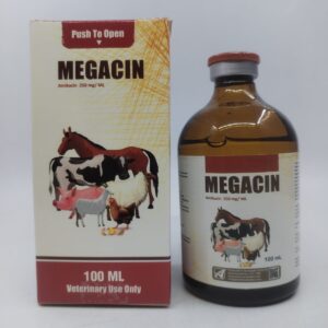MEGACIN